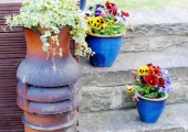 DIY: Chimney Pot Planters
