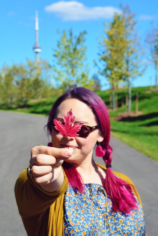 Canada Maple Leaf Photo